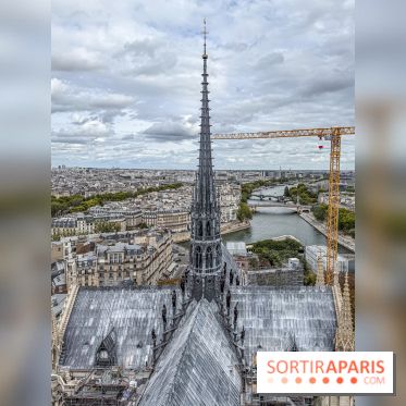 Visite des tours de Notre-Dame de Paris