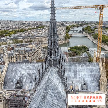 Visite des tours de Notre-Dame de Paris