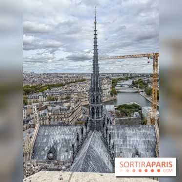 Visite des tours de Notre-Dame de Paris