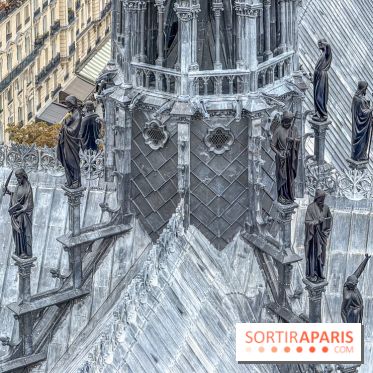 Visite des tours de Notre-Dame de Paris - IMG 7481