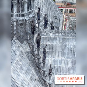 Visite des tours de Notre-Dame de Paris