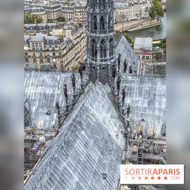 Visite des tours de Notre-Dame de Paris