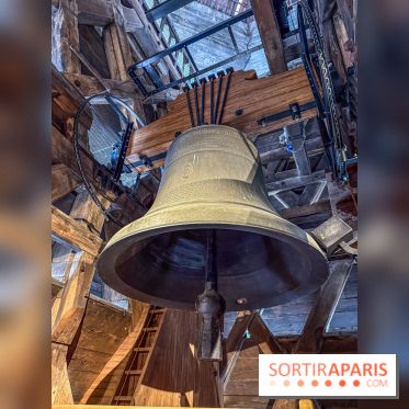 Visite des tours de Notre-Dame de Paris