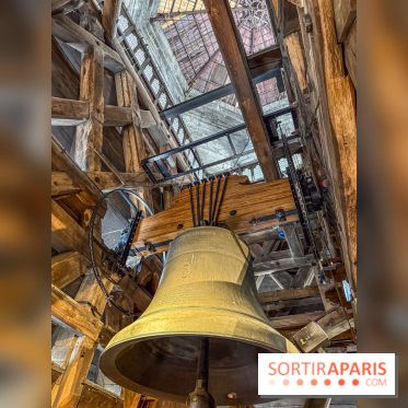 Visite des tours de Notre-Dame de Paris