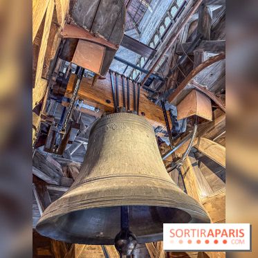 Visite des tours de Notre-Dame de Paris - IMG 7491