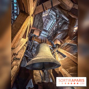 Visite des tours de Notre-Dame de Paris