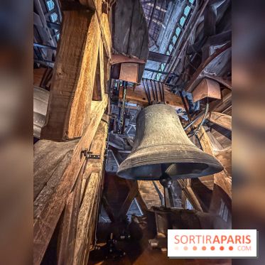 Visite des tours de Notre-Dame de Paris - IMG 7496