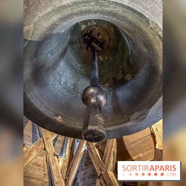 Visite des tours de Notre-Dame de Paris - IMG 7500