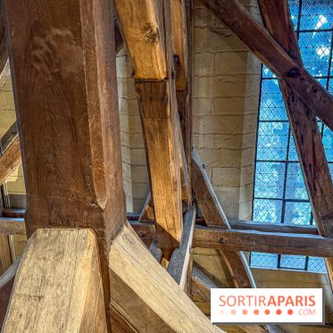 Visite des tours de Notre-Dame de Paris
