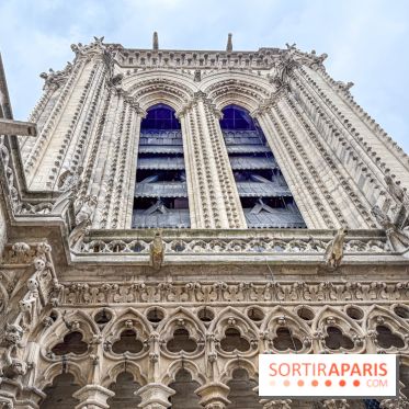 Visite des tours de Notre-Dame de Paris