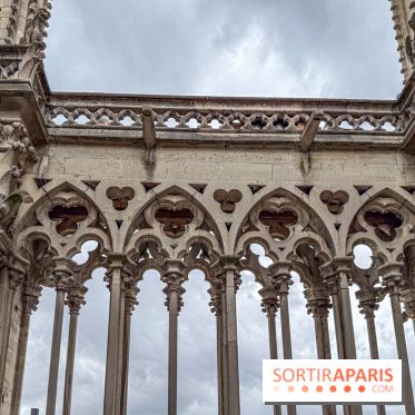 Visite des tours de Notre-Dame de Paris