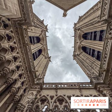 Visite des tours de Notre-Dame de Paris