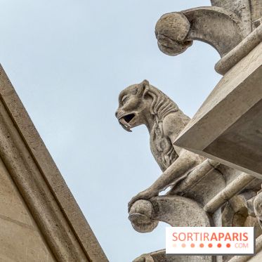 Visite des tours de Notre-Dame de Paris