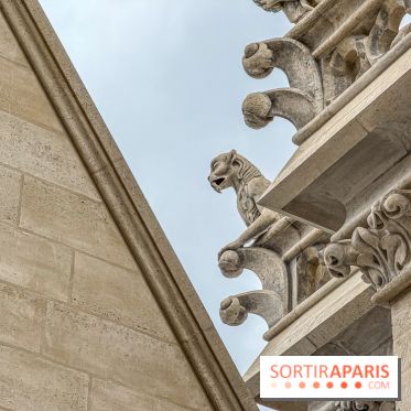 Visite des tours de Notre-Dame de Paris
