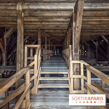 Visite des tours de Notre-Dame de Paris