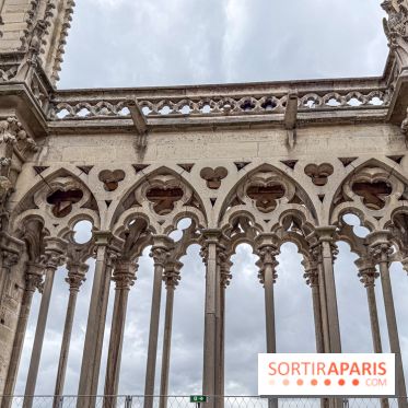 Visite des tours de Notre-Dame de Paris