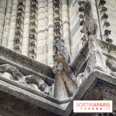 Visite des tours de Notre-Dame de Paris