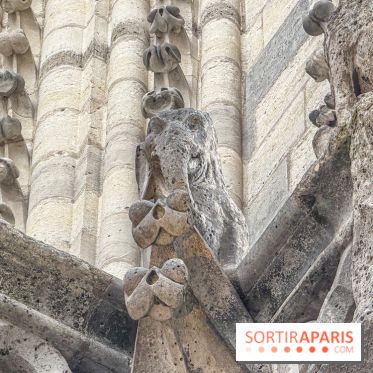 Visite des tours de Notre-Dame de Paris