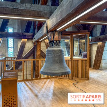 Visite des tours de Notre-Dame de Paris
