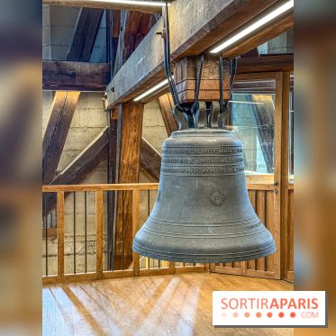 Visite des tours de Notre-Dame de Paris - IMG 7518