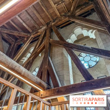 Visite des tours de Notre-Dame de Paris - IMG 7522