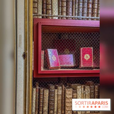 Exposition “Excellences !” à la Bibliothèque Choiseul de Versailles - IMG 7564