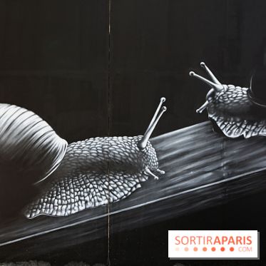 Festival de street art d'Antony 2025, nos photos 