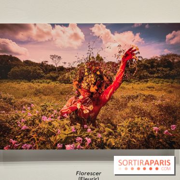 Amazônia au musée du quai Branly : l'exposition au cœur des cultures autochtones se dévoile - fotor 1759145919311