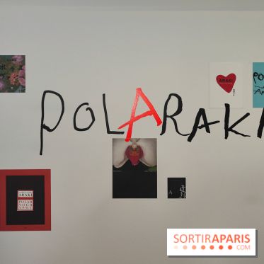 Polaraki, mille polaroids d'Araki Nobuyoshi : l'exposition du musée Guimet se dévoile