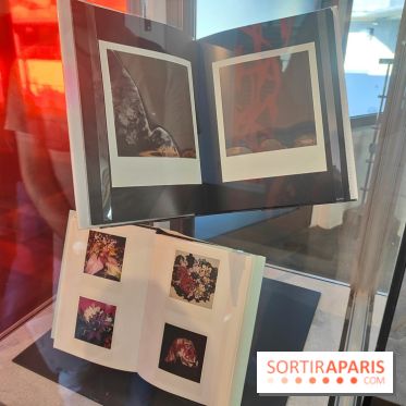 Polaraki, mille polaroids d'Araki Nobuyoshi : l'exposition du musée Guimet se dévoile