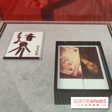 Polaraki, mille polaroids d'Araki Nobuyoshi : l'exposition du musée Guimet se dévoile