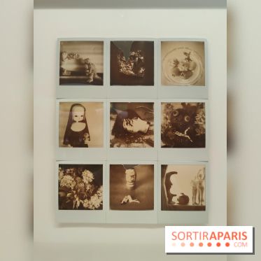 Polaraki, mille polaroids d'Araki Nobuyoshi : l'exposition du musée Guimet se dévoile