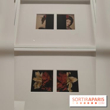 Polaraki, mille polaroids d'Araki Nobuyoshi : l'exposition du musée Guimet se dévoile - fotor 1759249641214