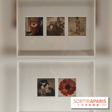 Polaraki, mille polaroids d'Araki Nobuyoshi : l'exposition du musée Guimet se dévoile - fotor 1759249674126