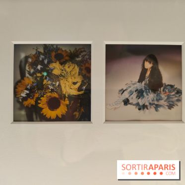 Polaraki, mille polaroids d'Araki Nobuyoshi : l'exposition du musée Guimet se dévoile