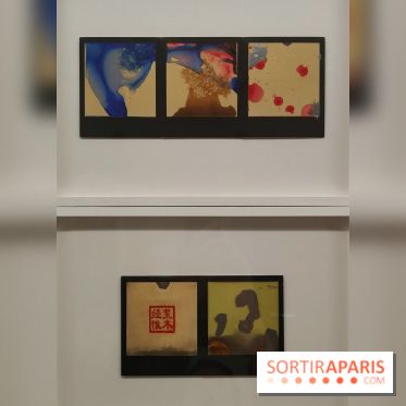 Polaraki, mille polaroids d'Araki Nobuyoshi : l'exposition du musée Guimet se dévoile - fotor 1759249727646