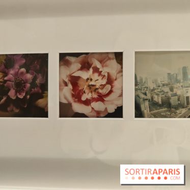 Polaraki, mille polaroids d'Araki Nobuyoshi : l'exposition du musée Guimet se dévoile - fotor 1759249760856