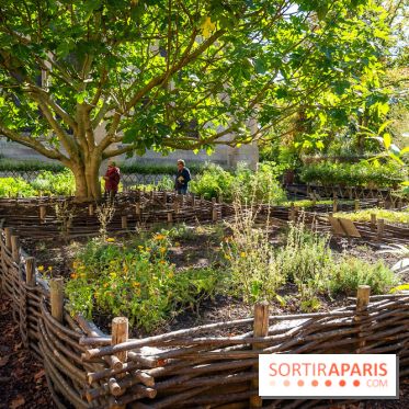 Le brunch à volonté de l'Abbaye de Royaumont - A7C08415