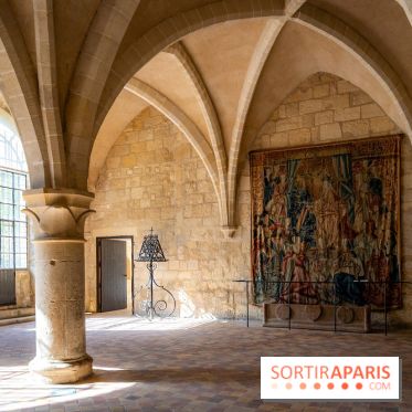 Les spectacles du dimanche de l'Abbaye de Royaumont dans le Val-d'Oise - A7C08418