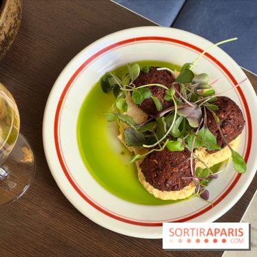 Comptoir Lazu - Falafels de lentilles, houmous
