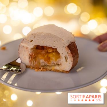 la Bûche de Noêl du Mandarin Oriental Lutetia aux Lumières de Paris - A7C08076