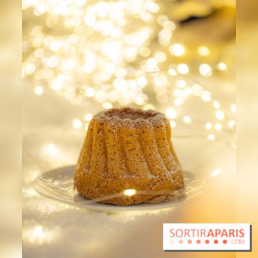 la Bûche de Noêl du Mandarin Oriental Lutetia aux Lumières de Paris