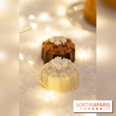 la Bûche de Noêl du Mandarin Oriental Lutetia aux Lumières de Paris