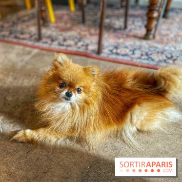 Etagère Café - IMG 5846