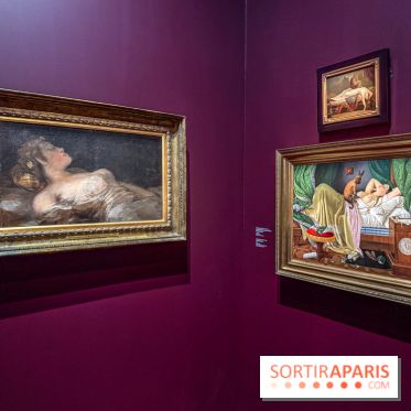L’Empire du Sommeil : quand le rêve s’expose au Musée Marmottan Monet - IMG 9017