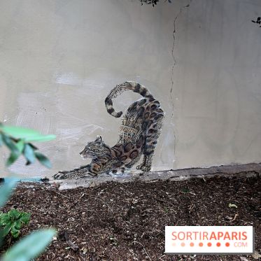 Ardif : nos photos de son exposition 'Felines Mechanimal' 