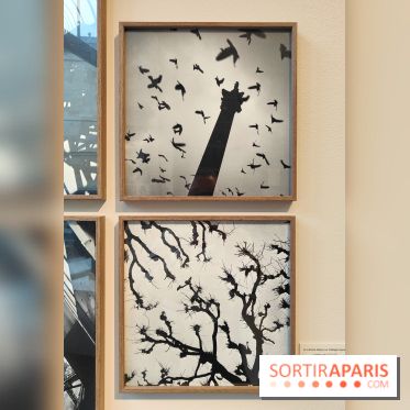 Gaston Paris - L'équilibre du carré : l'exposition photo gratuite de la galerie Roger-Viollet - fotor 1760012037148