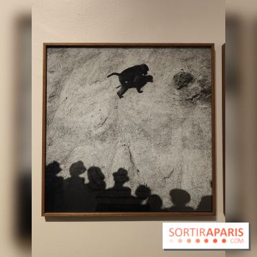 Gaston Paris - L'équilibre du carré : l'exposition photo gratuite de la galerie Roger-Viollet - fotor 1760012156749