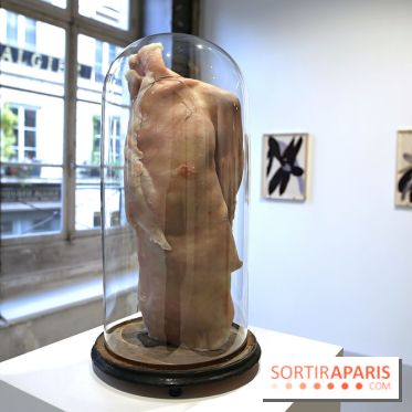 Berlinde De Bruyckere : nos photos de son exposition 'Need' à la Galleria Continua 