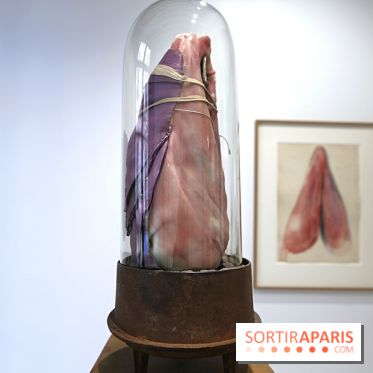 Berlinde De Bruyckere : nos photos de son exposition 'Need' à la Galleria Continua 